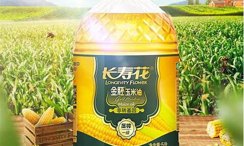 长寿花玉米油5.68l_长寿花玉米油价格